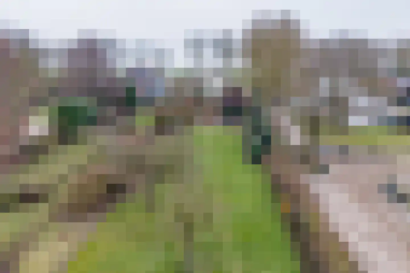 Wakkerendijk 246 Eemnes thumbnail 68