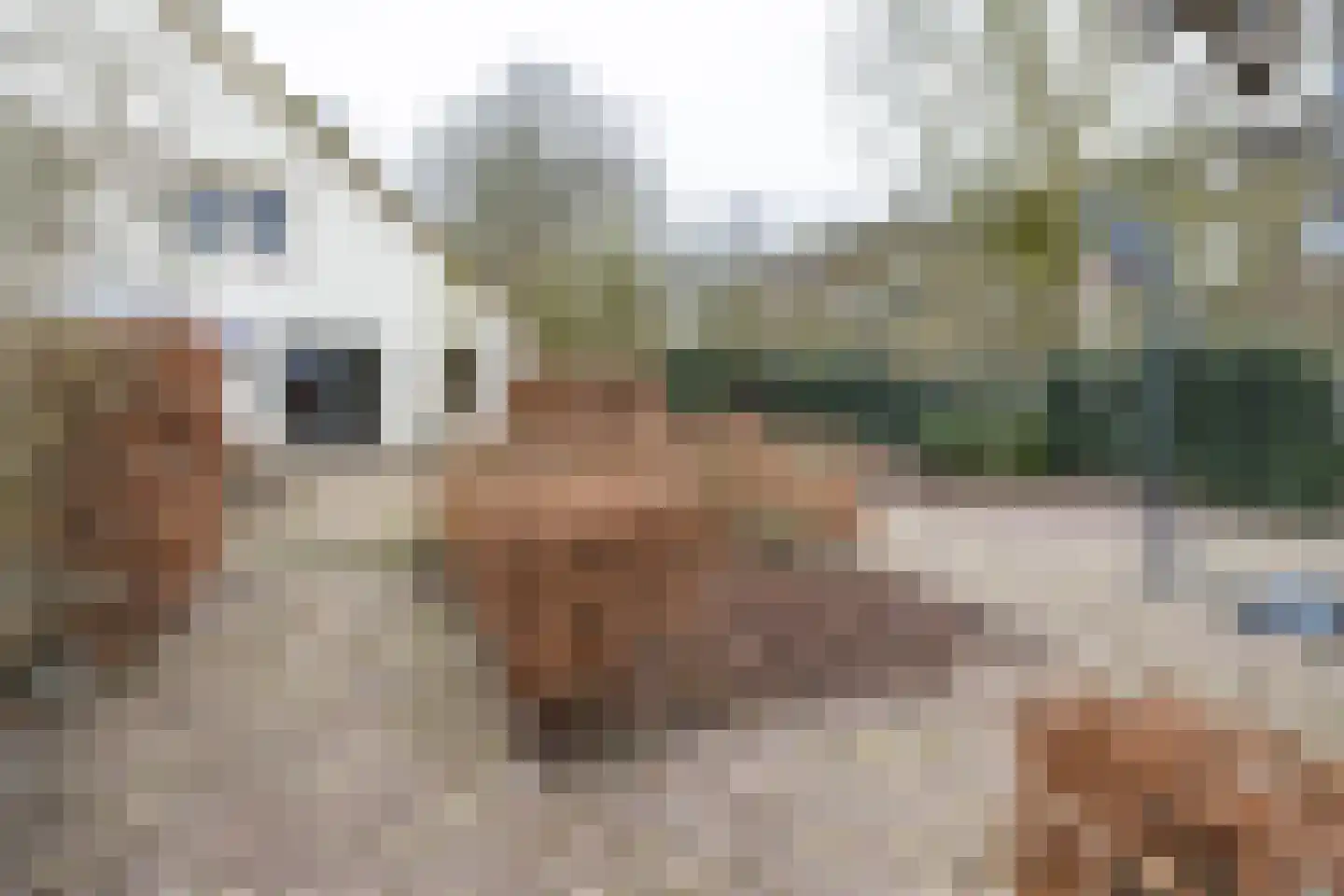 Wakkerendijk 246 Eemnes thumbnail 69