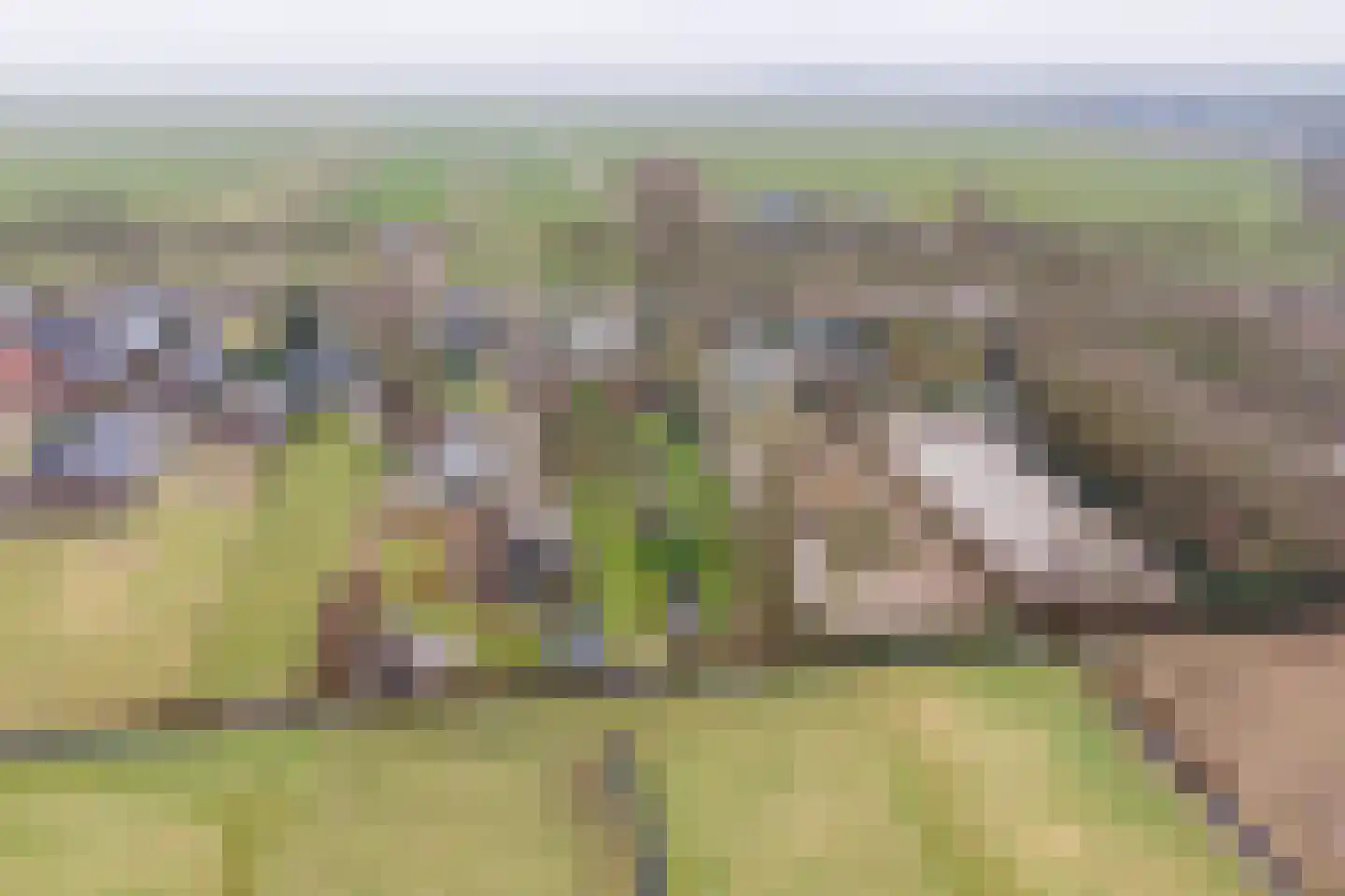 Wakkerendijk 246 Eemnes thumbnail 70