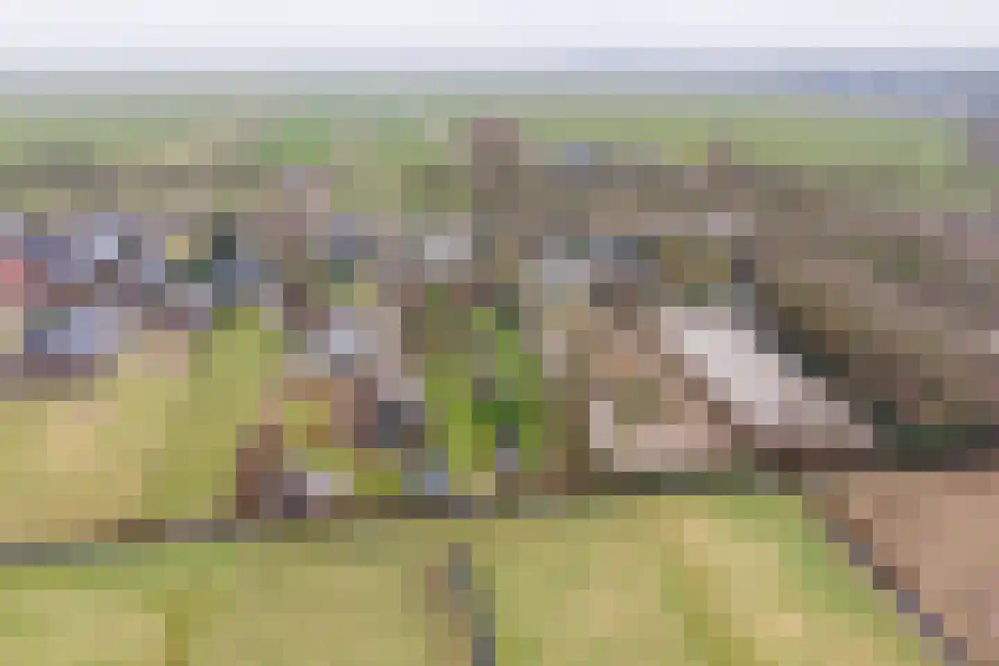Wakkerendijk 246 Eemnes thumbnail 70