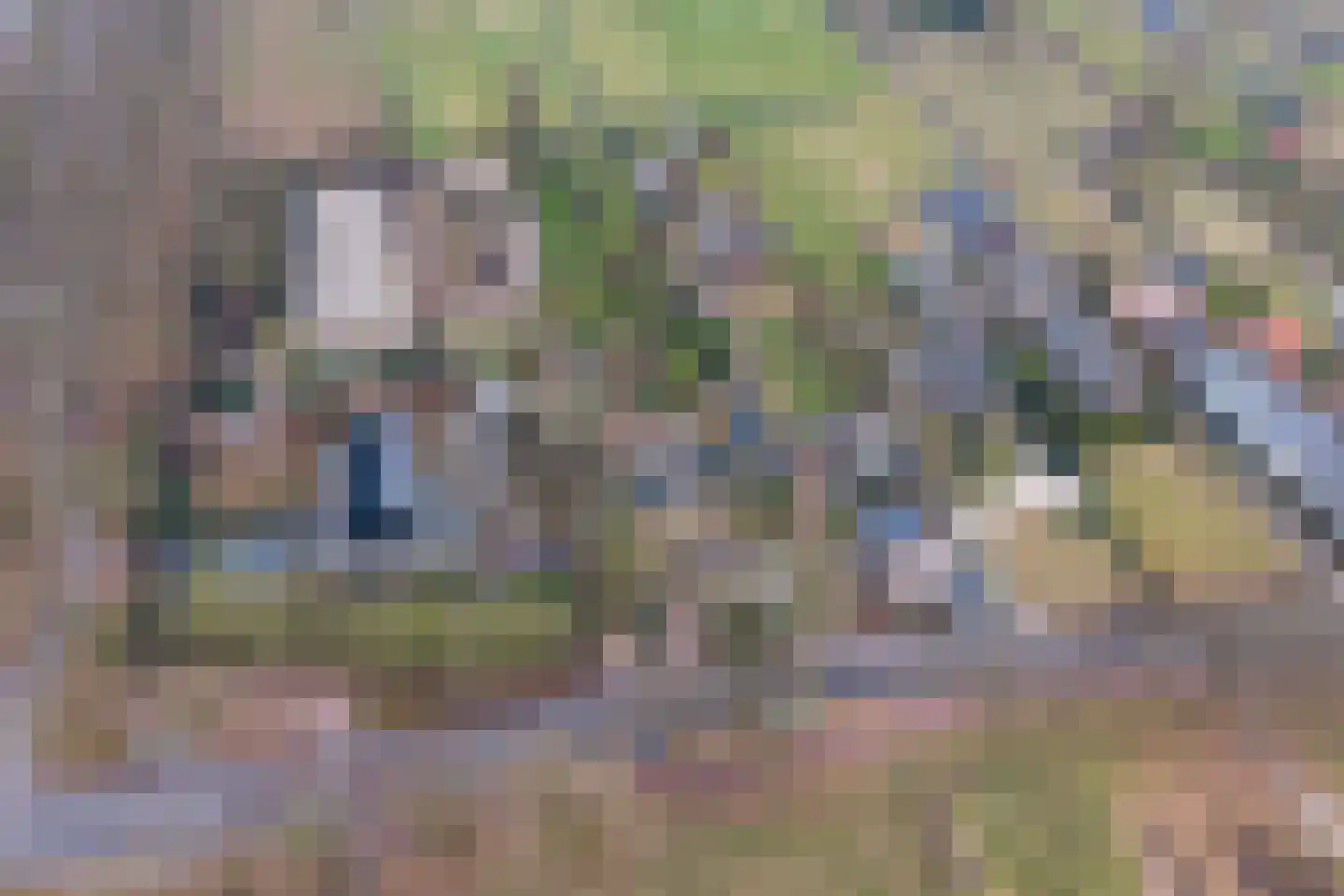 Wakkerendijk 246 Eemnes thumbnail 72