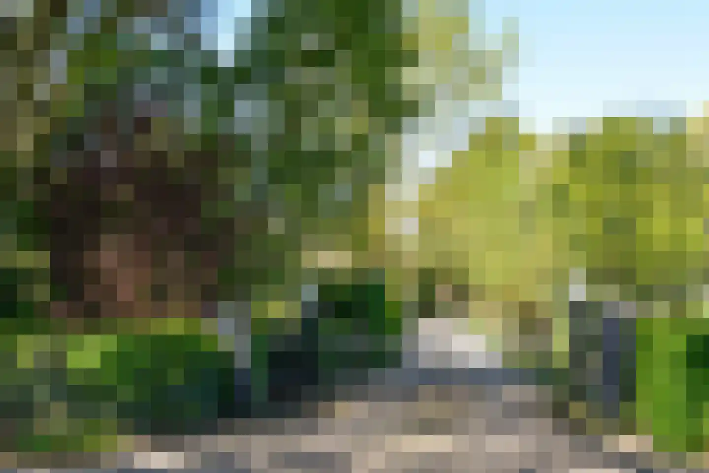 Wakkerendijk 90 A Eemnes thumbnail 4