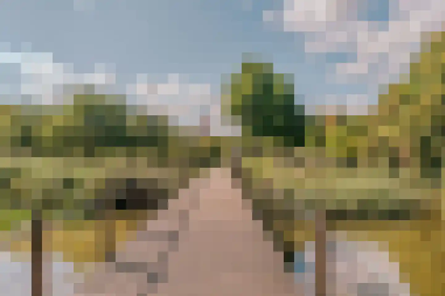 Wakkerstraat 10 2 Amsterdam thumbnail 29