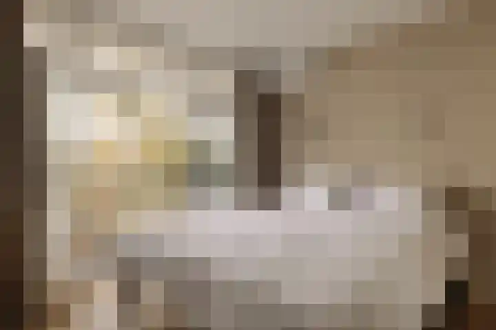 Wakkerstraat 16 D Amsterdam thumbnail 16