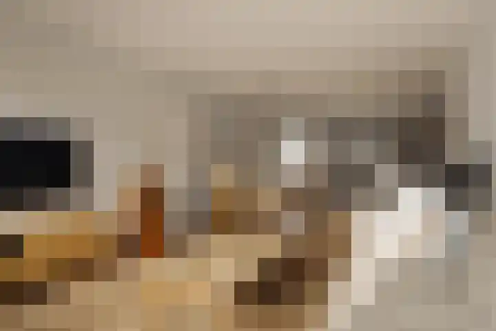 Wakkerstraat 16 D Amsterdam thumbnail 6