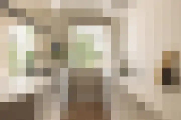Wakkerstraat 27 Amsterdam thumbnail 12
