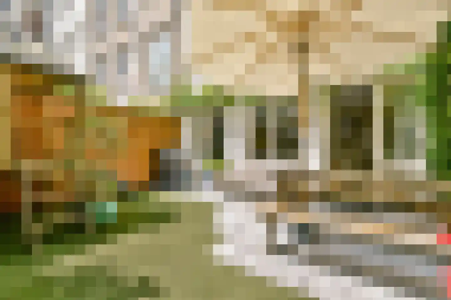 Wakkerstraat 7 H Amsterdam thumbnail 17