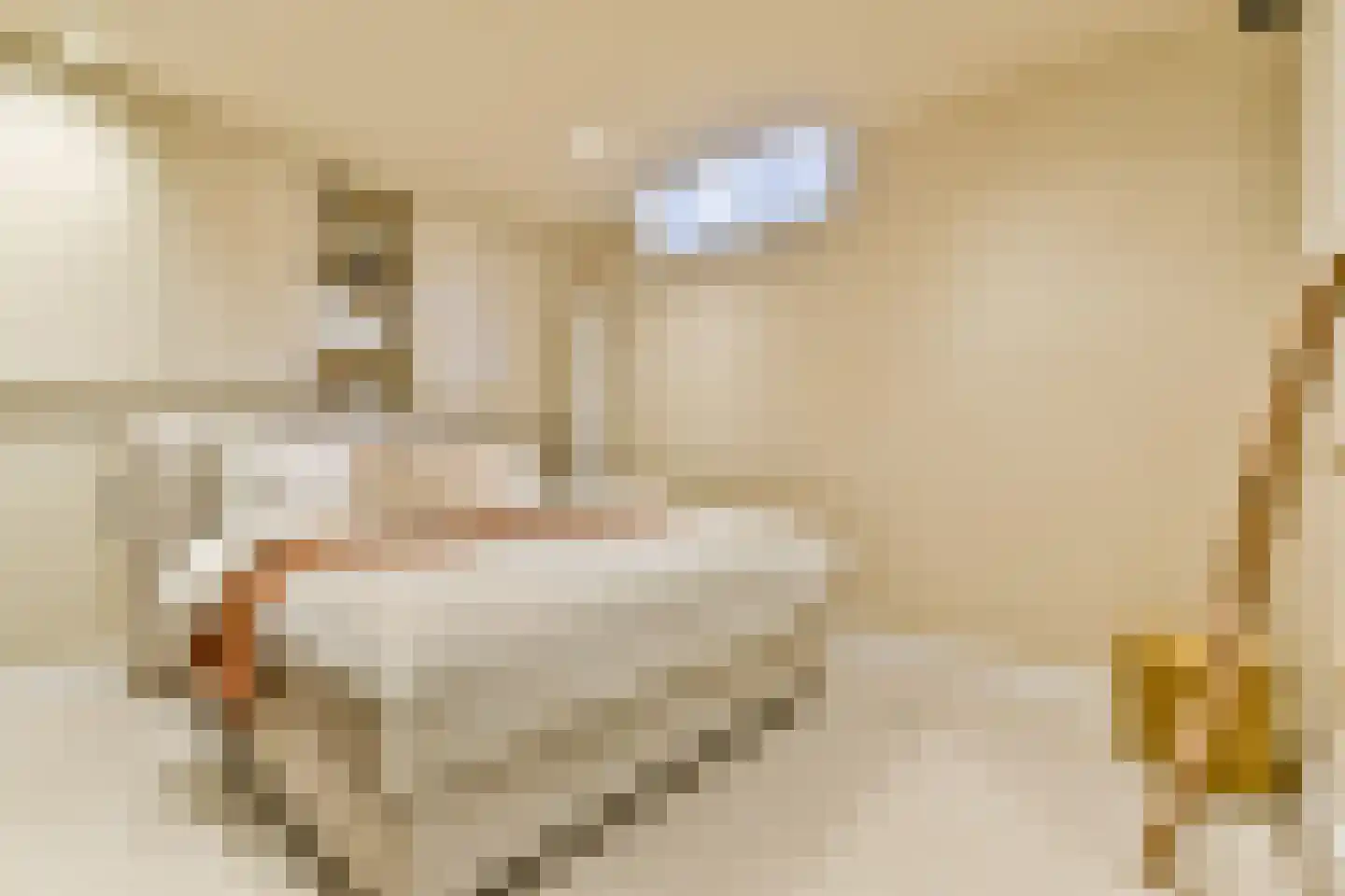 Wakkerstraat 7 H Amsterdam thumbnail 19