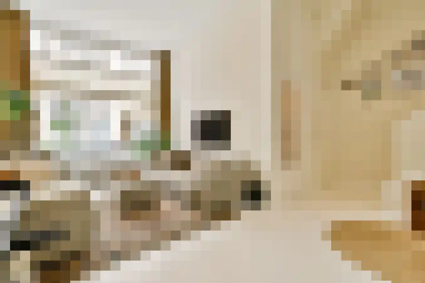 Wakkerstraat 7 H Amsterdam thumbnail 9