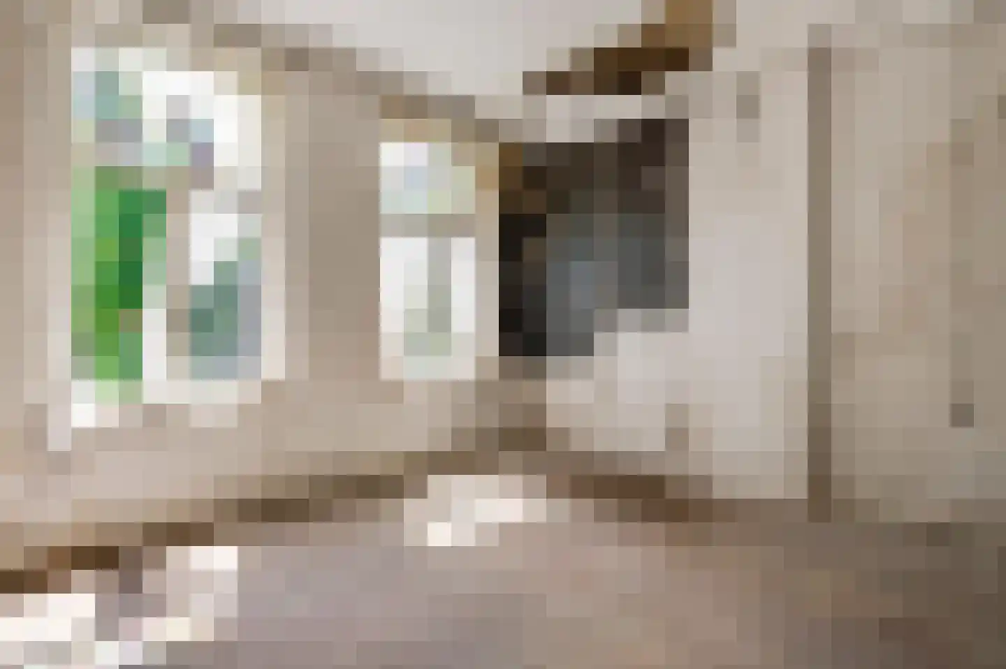 Wal 1 Horn thumbnail 21