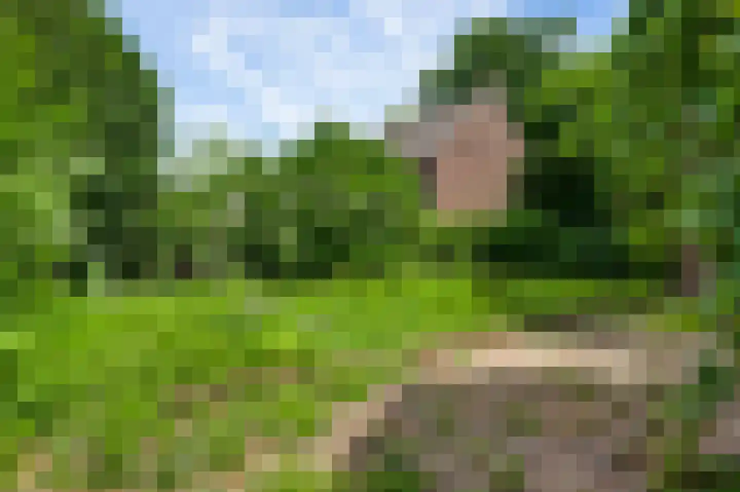 Wal 1 Horn thumbnail 26