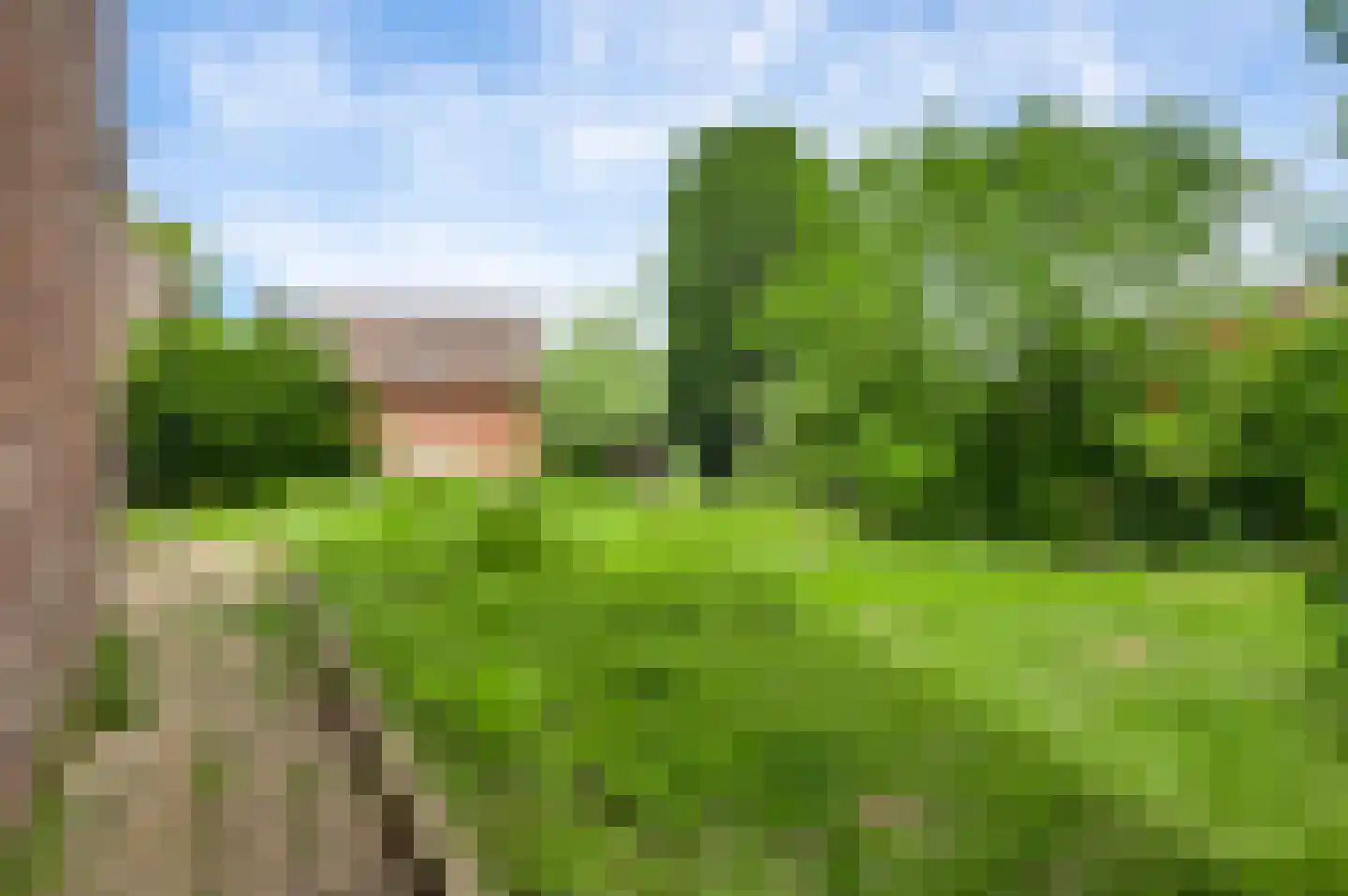 Wal 1 Horn thumbnail 4