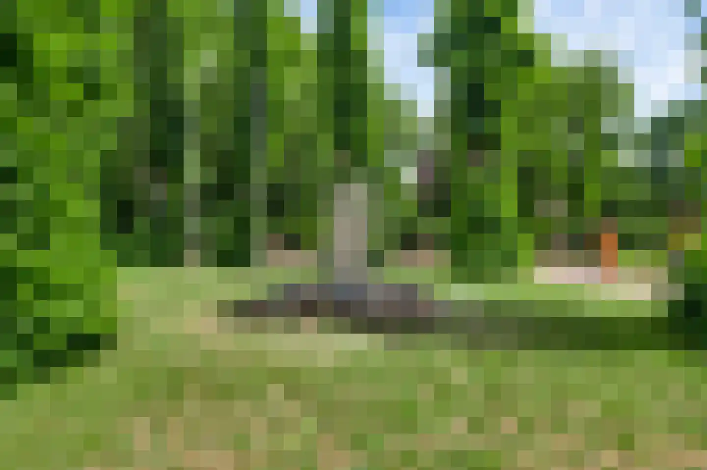 Wal 1 Horn thumbnail 40
