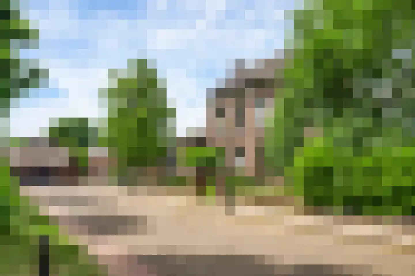 Wal 1 Horn thumbnail 43