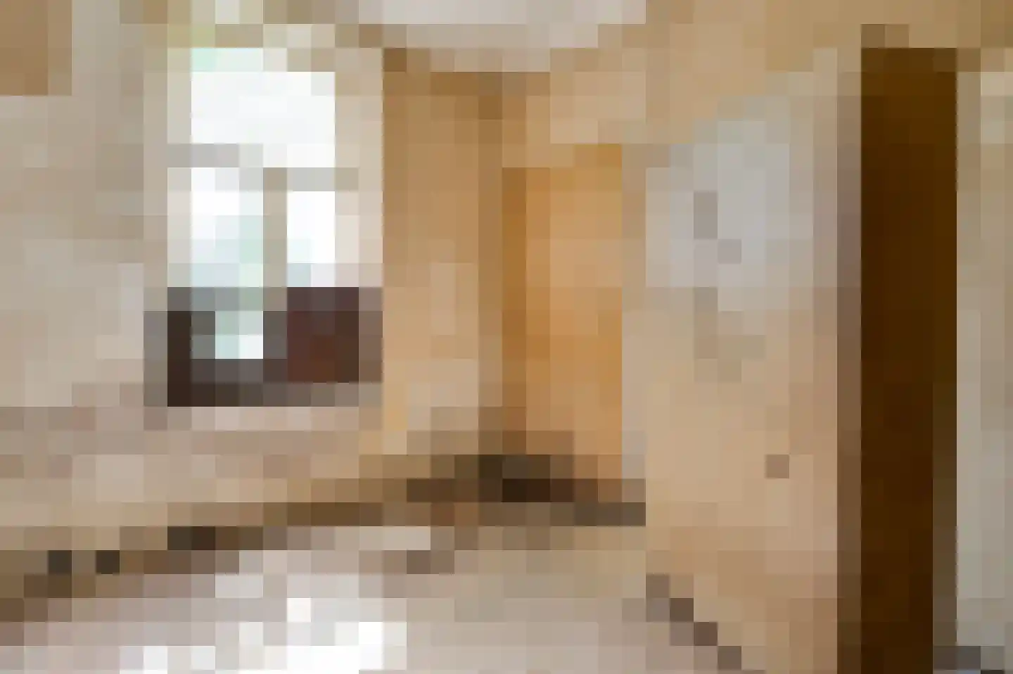 Wal 1 Horn thumbnail 6
