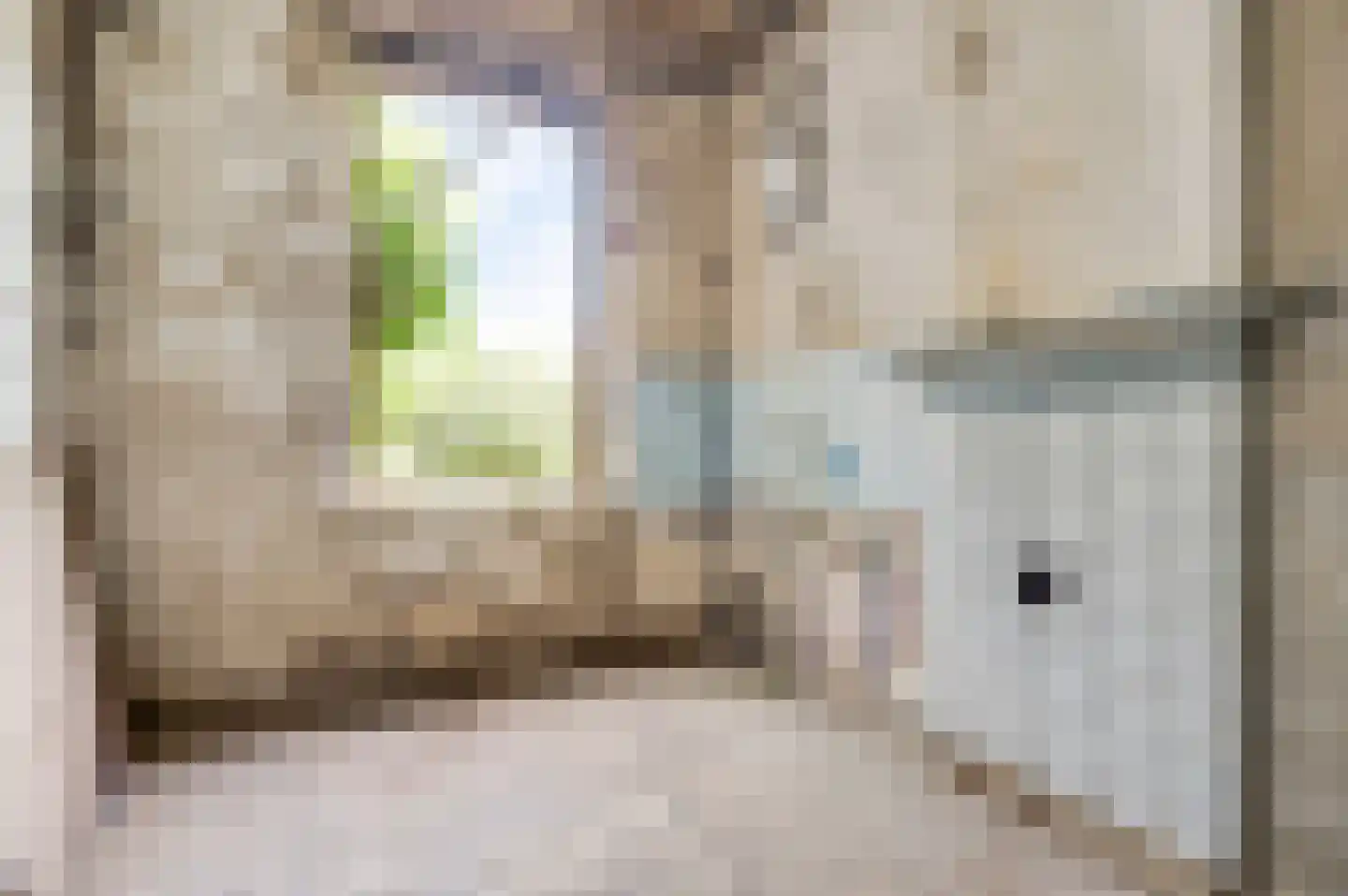 Wal 1 Horn thumbnail 7