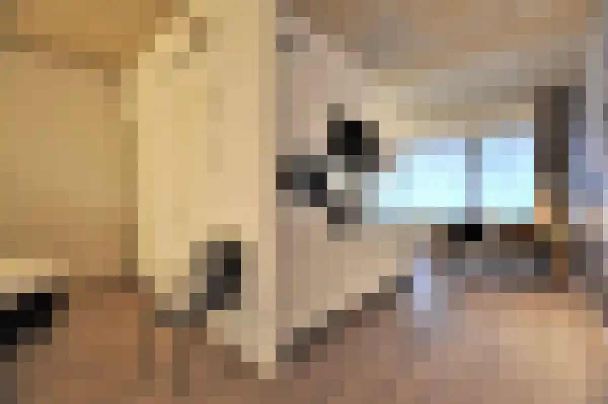 Wal 12 Eindhoven thumbnail 4