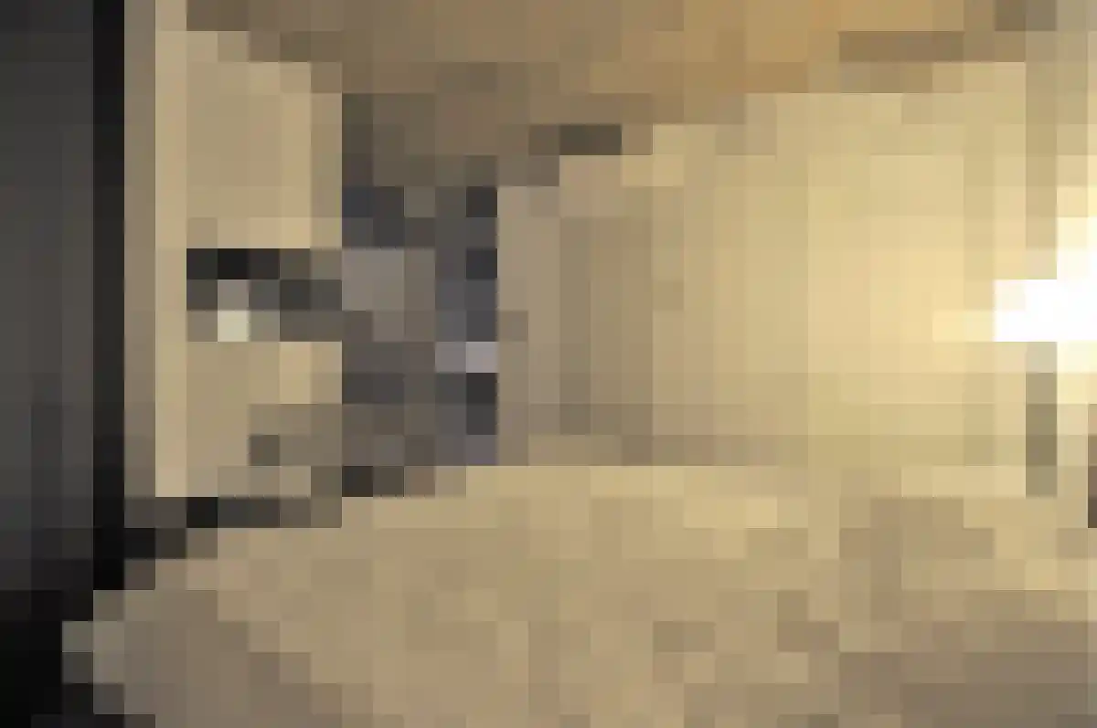 Wal 16 Eindhoven thumbnail 5