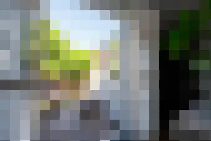 Wal 16 Schoonhoven thumbnail 15