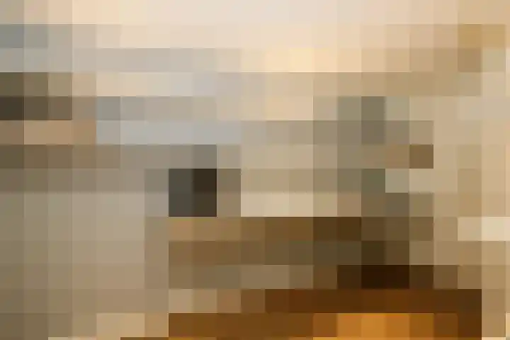Wal 16 Schoonhoven thumbnail 29