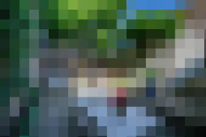 Wal 16 Schoonhoven thumbnail 35