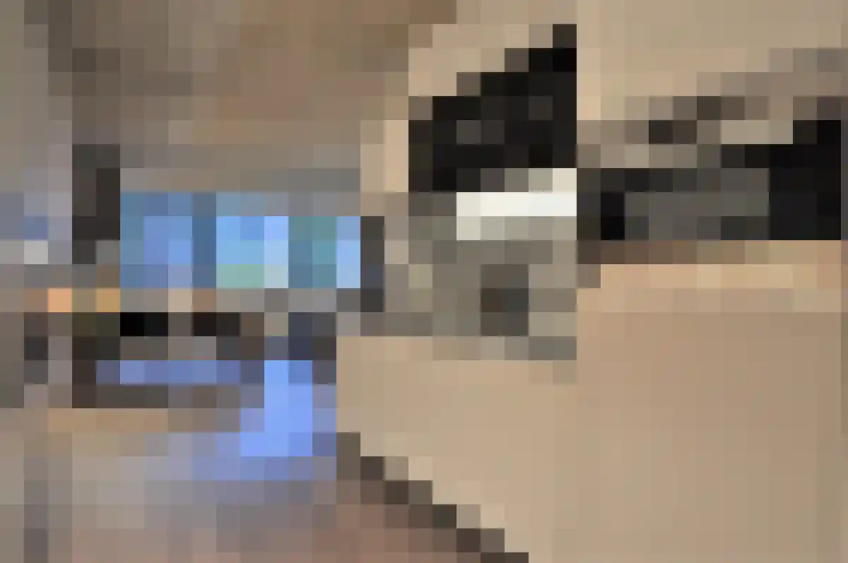 Wal 18 Eindhoven thumbnail 4