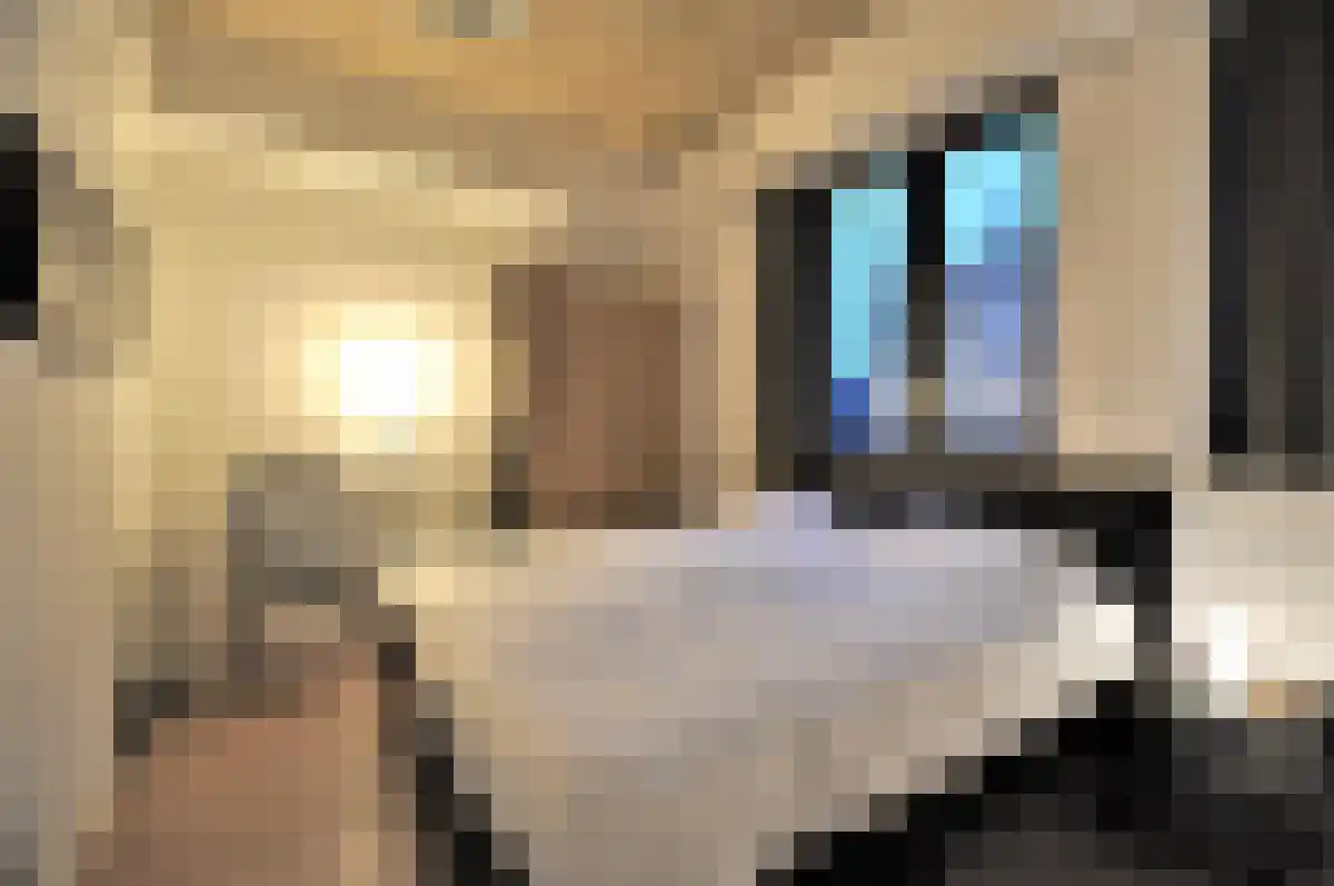 Wal 18 Eindhoven thumbnail 4