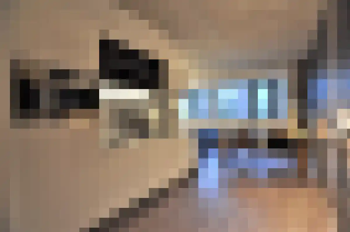 Wal 18 Eindhoven thumbnail 4