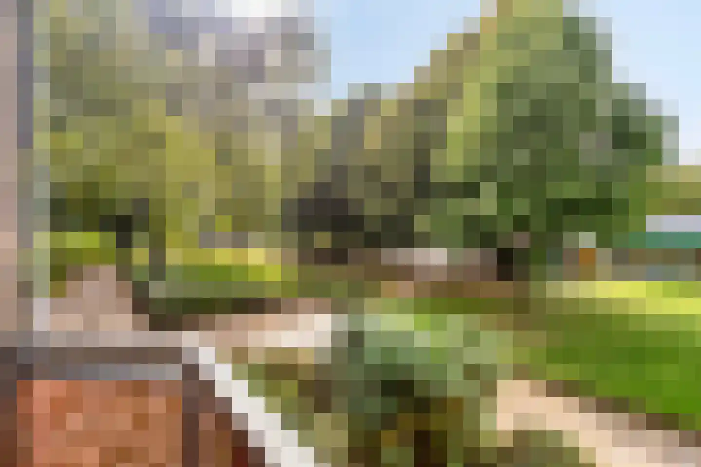 Wal 181 Veldhoven thumbnail 18