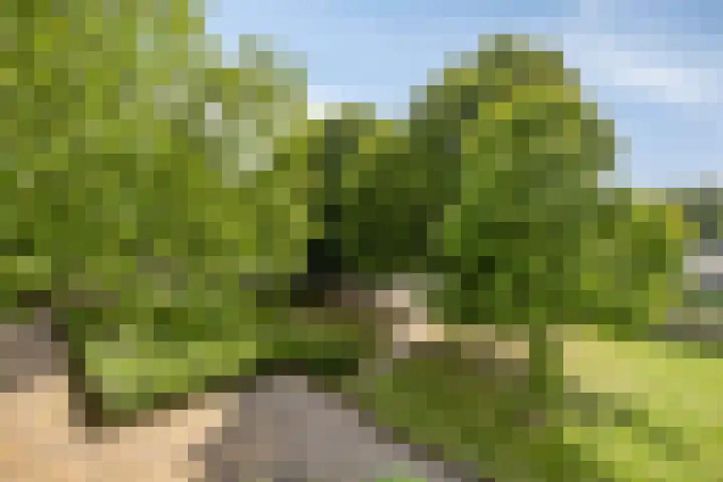 Wal 189 Veldhoven thumbnail 18