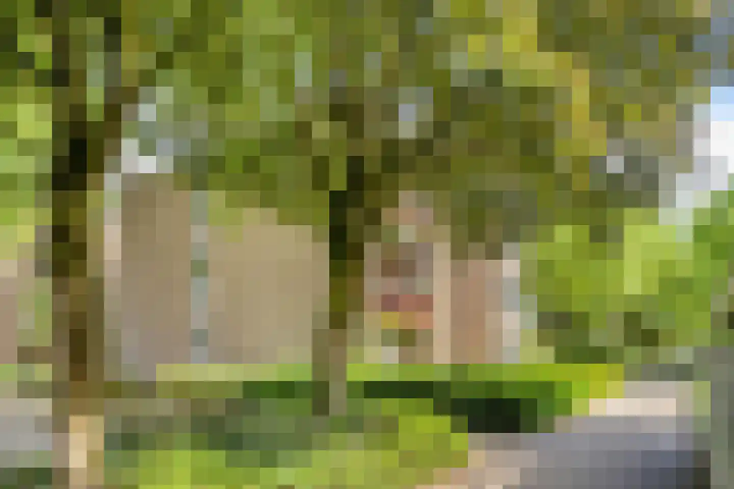 Wal 189 Veldhoven thumbnail 25