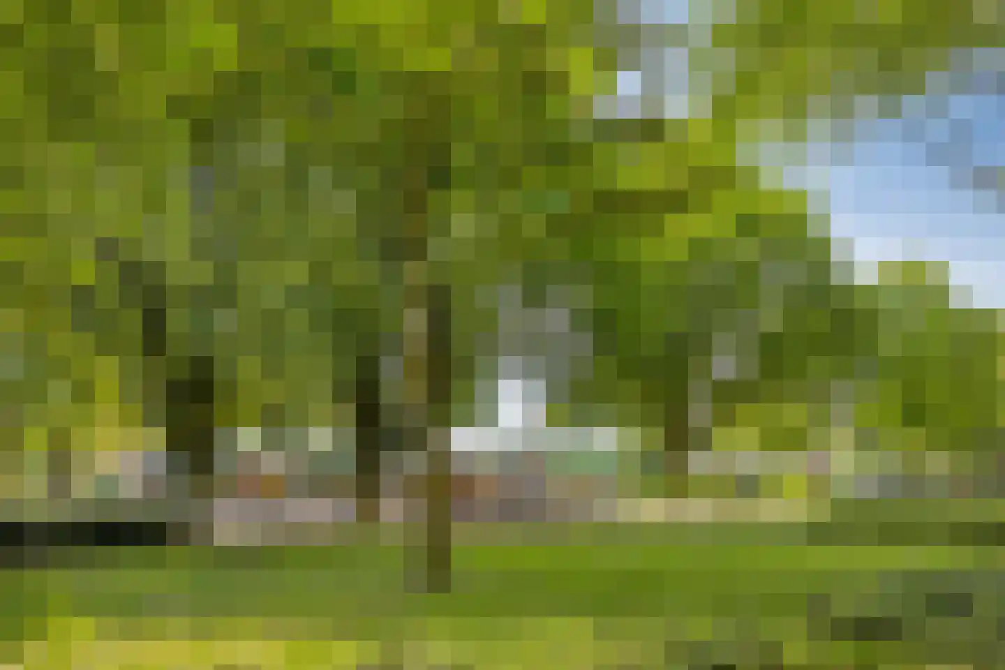 Wal 189 Veldhoven thumbnail 32