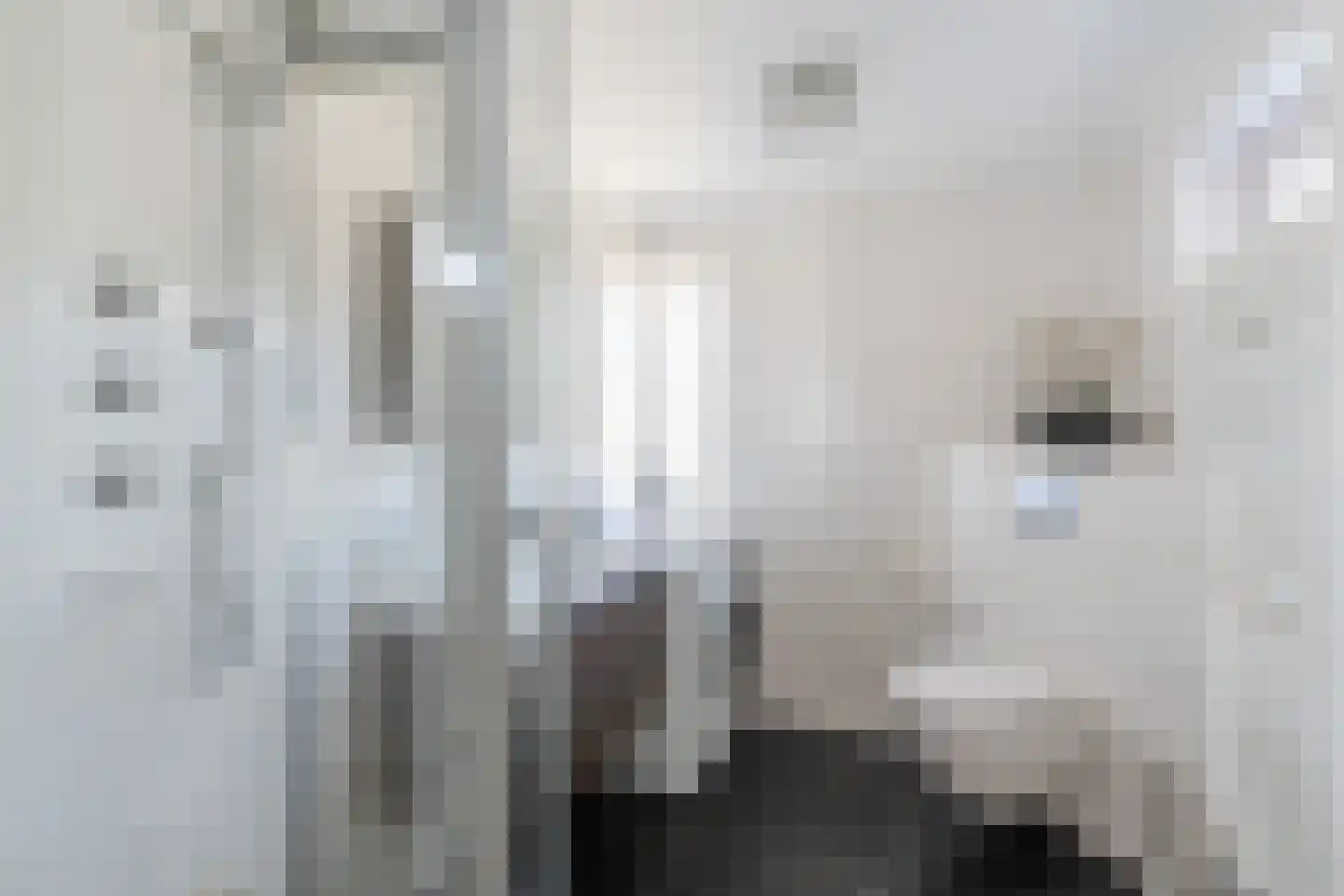 Wal 2 Veldhoven thumbnail 20
