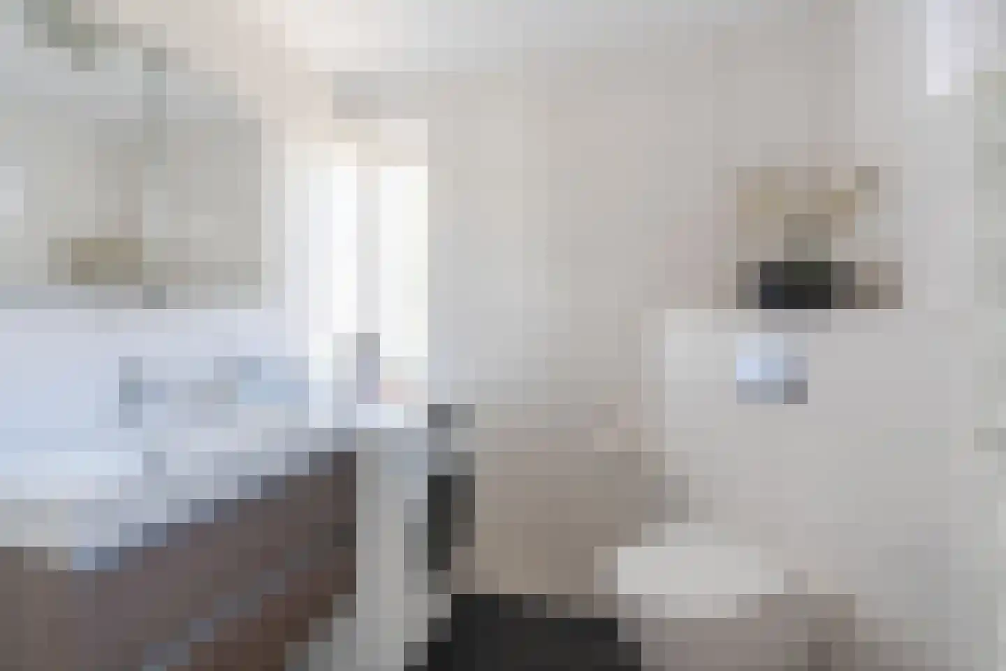 Wal 2 Veldhoven thumbnail 21