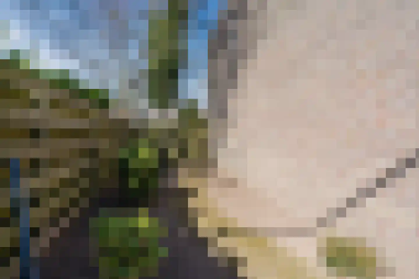 Wal 2 Veldhoven thumbnail 31