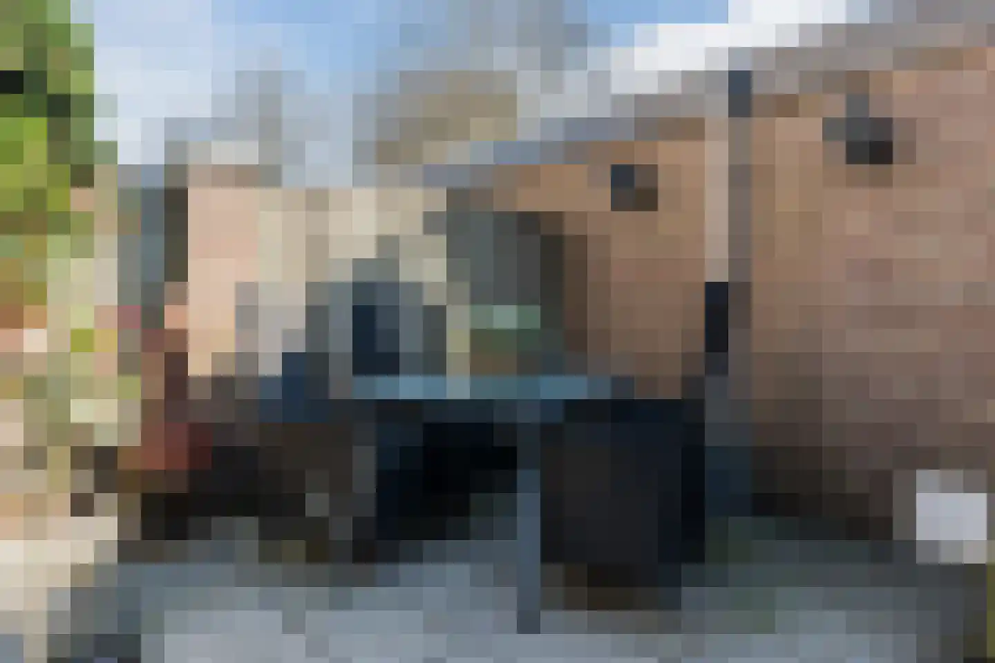 Wal 2 Veldhoven thumbnail 33