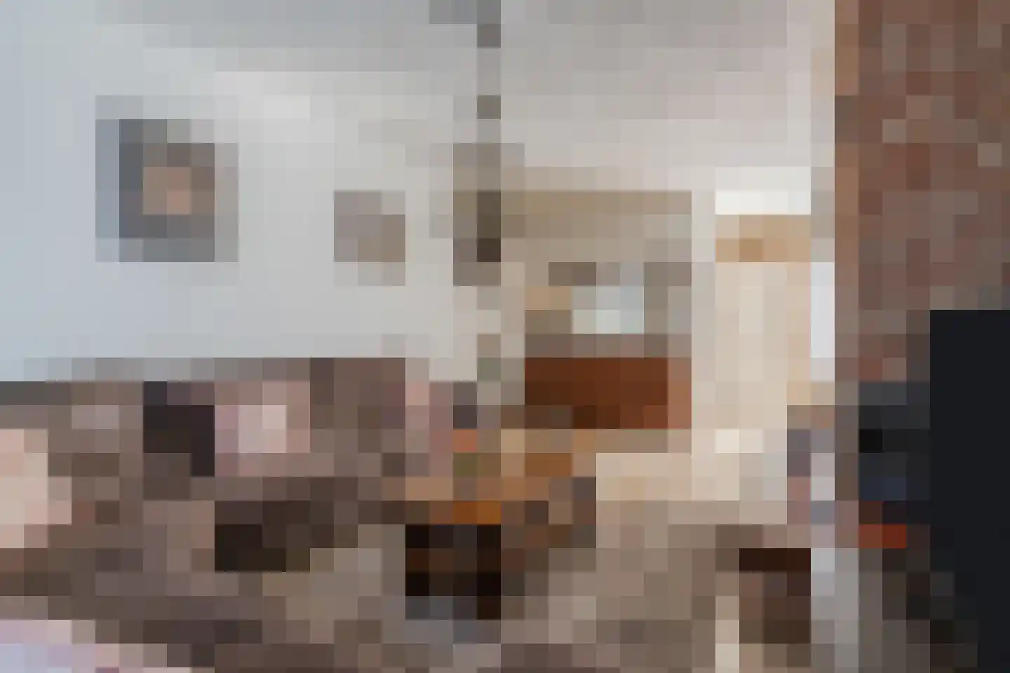 Wal 2 Veldhoven thumbnail 9