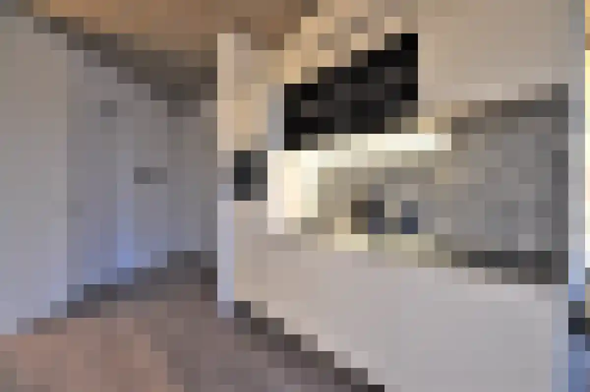 Wal 20 Eindhoven thumbnail 4