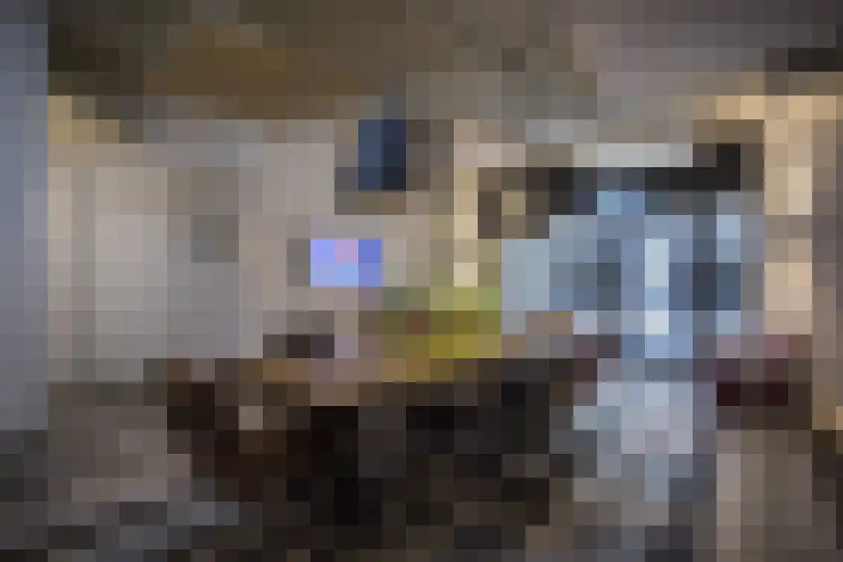 Wal 20 Eindhoven thumbnail 6
