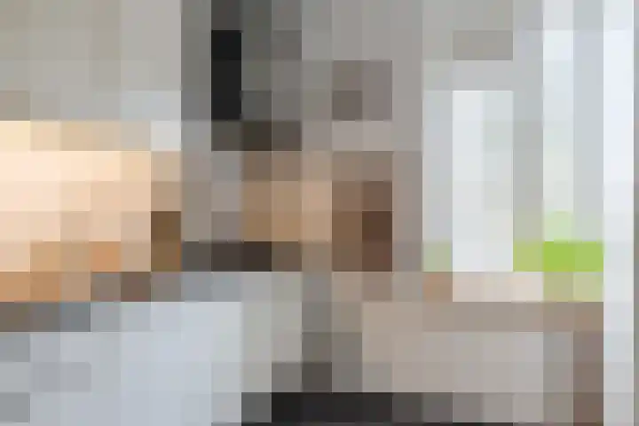 Wal 233 Veldhoven thumbnail 15