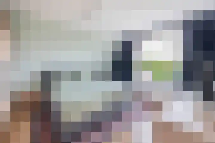 Wal 271 Veldhoven thumbnail 28