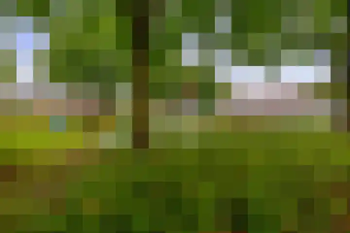 Wal 271 Veldhoven thumbnail 37