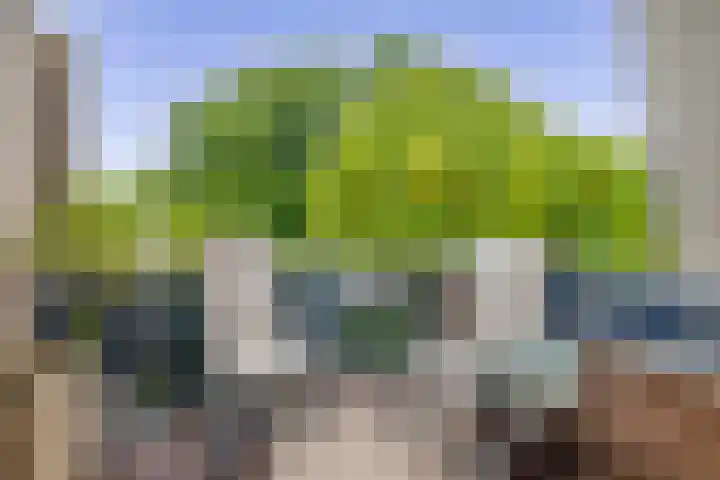 Wal 271 Veldhoven thumbnail 4