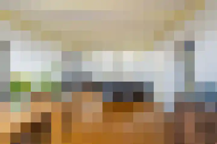 Wal 35 Tholen thumbnail 10