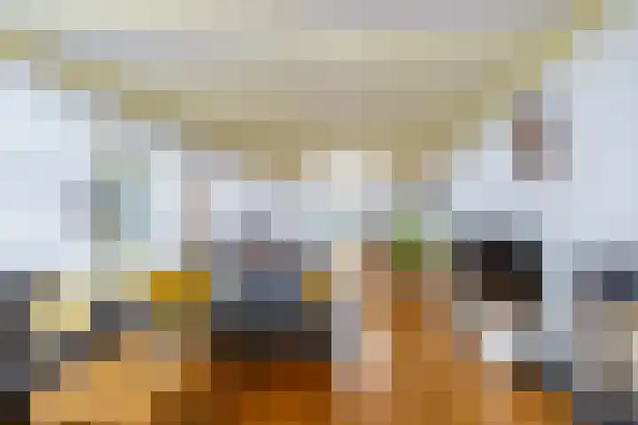 Wal 35 Tholen thumbnail 12