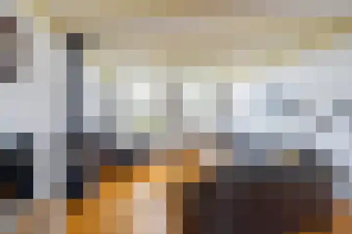 Wal 35 Tholen foto 2