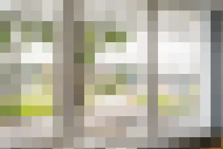 Wal 35 Tholen thumbnail 23