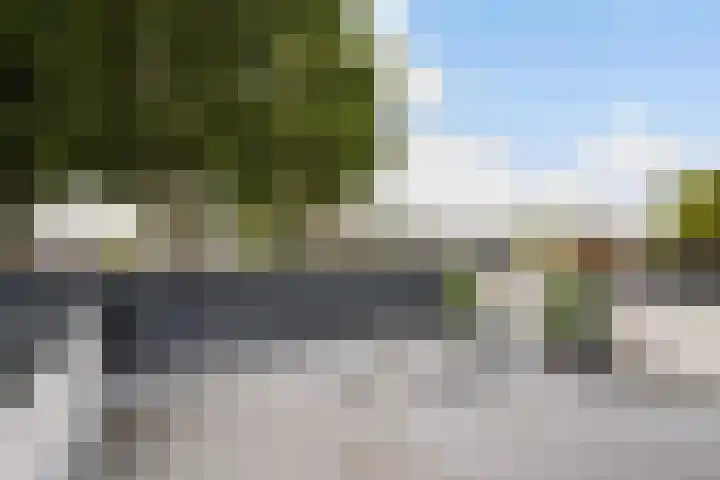 Wal 35 Tholen thumbnail 32