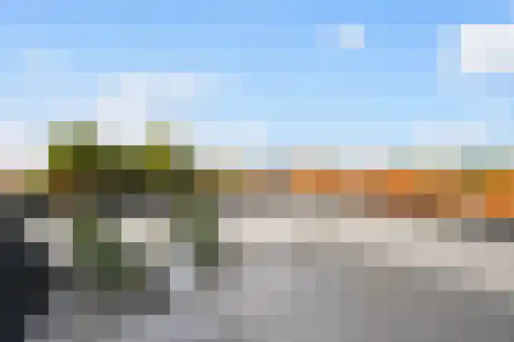 Wal 35 Tholen thumbnail 33