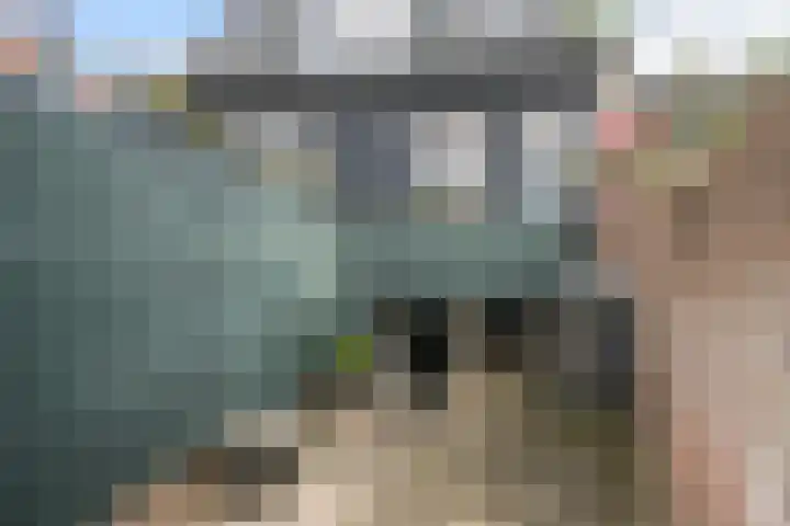 Wal 35 Tholen thumbnail 36